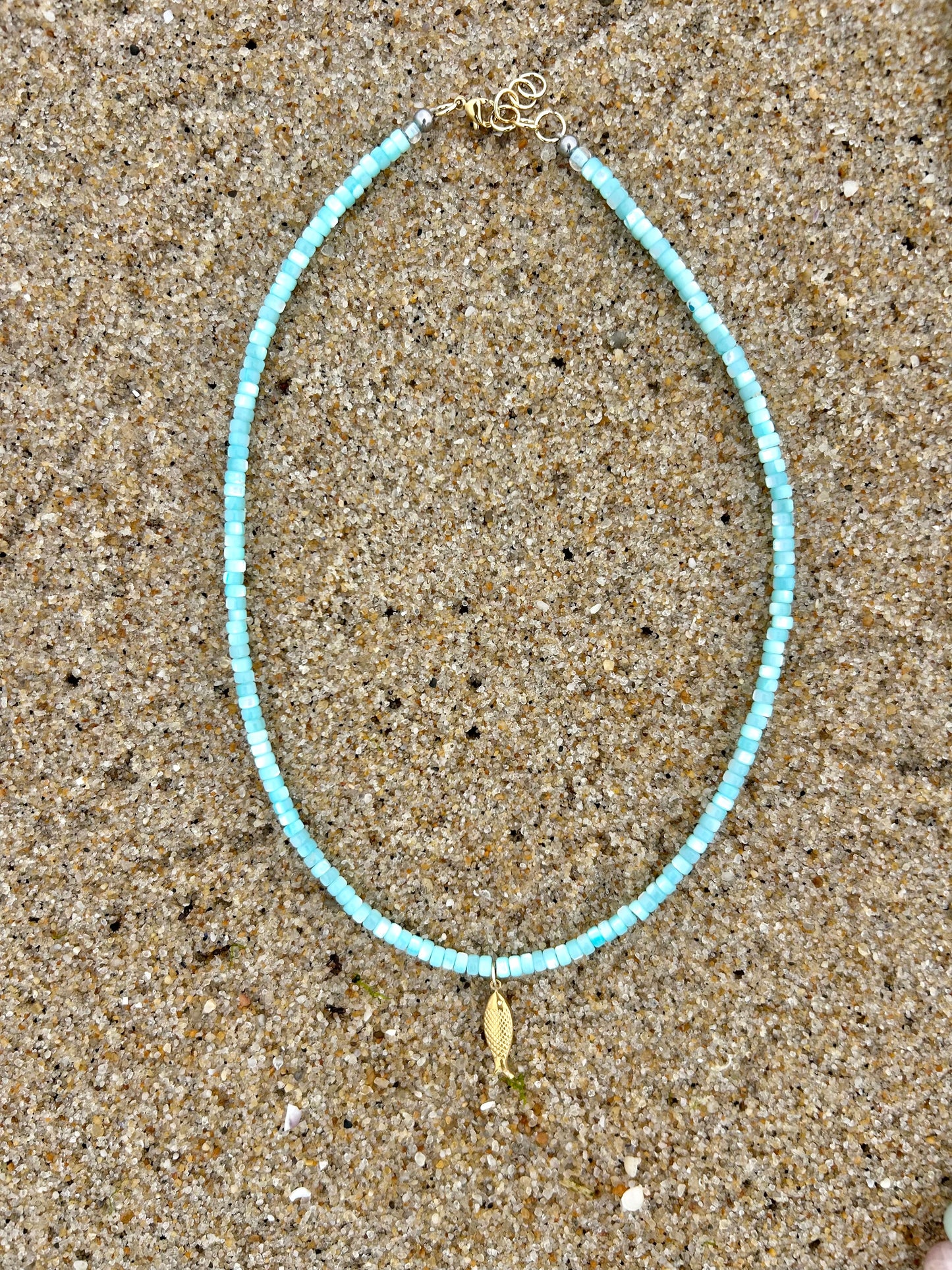blue coconut