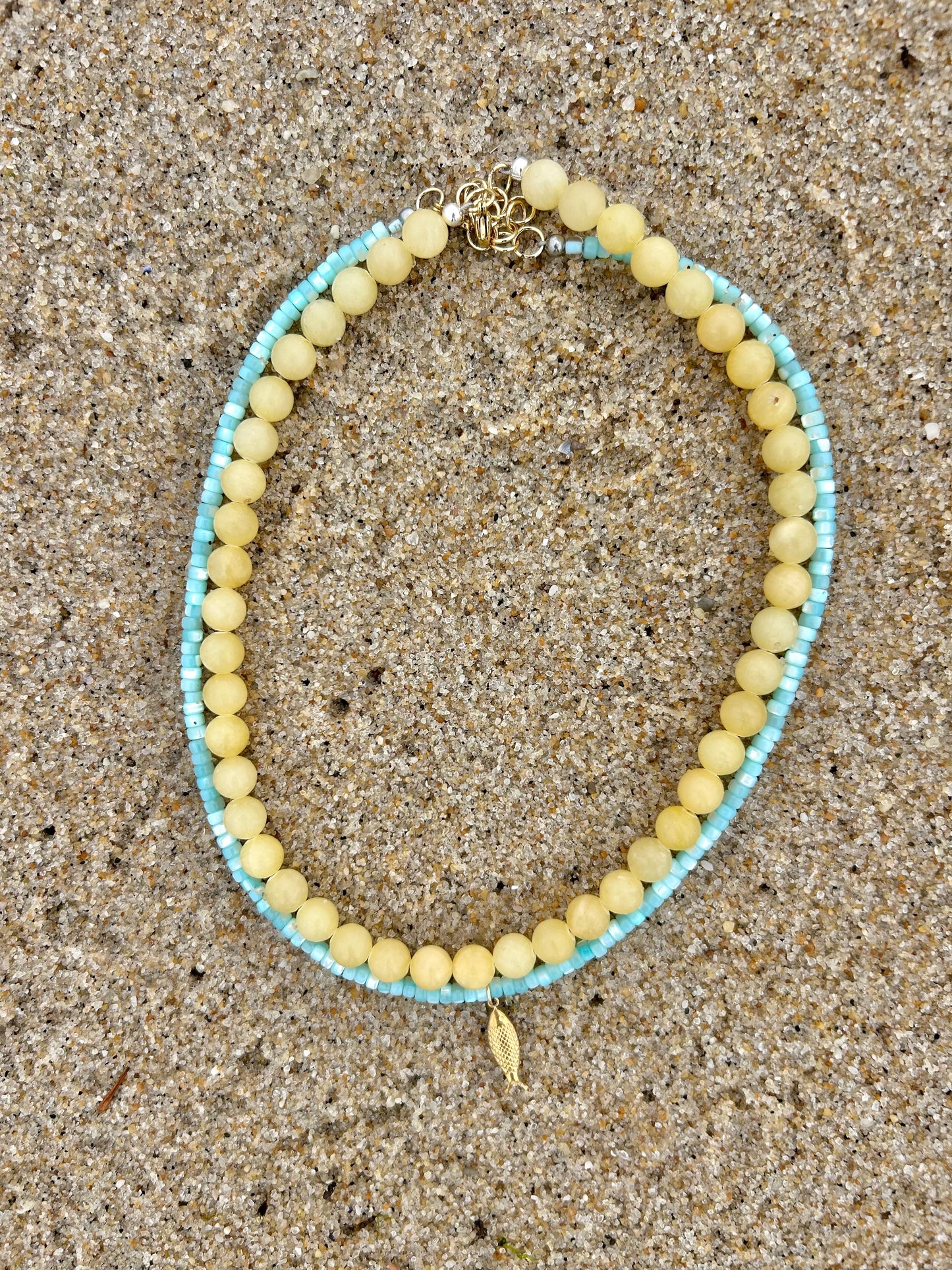 blue coconut