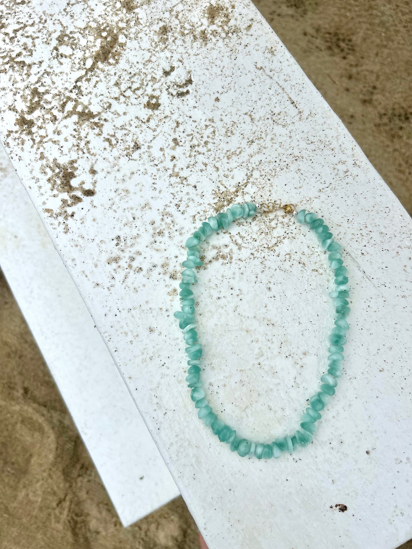 gummy shark