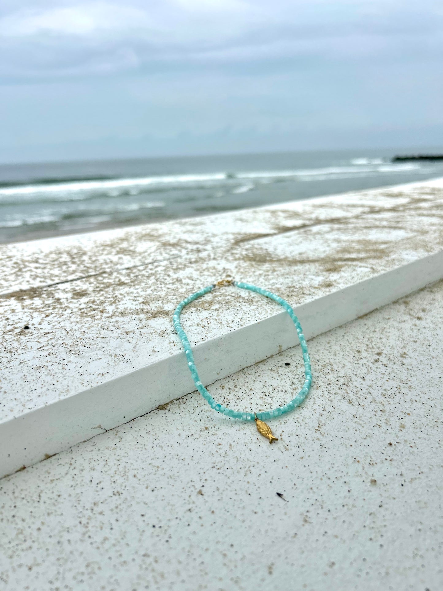 blue coconut